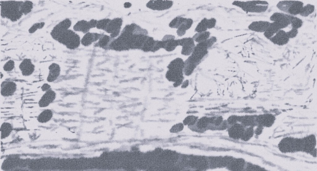 What Hugo left unsaid